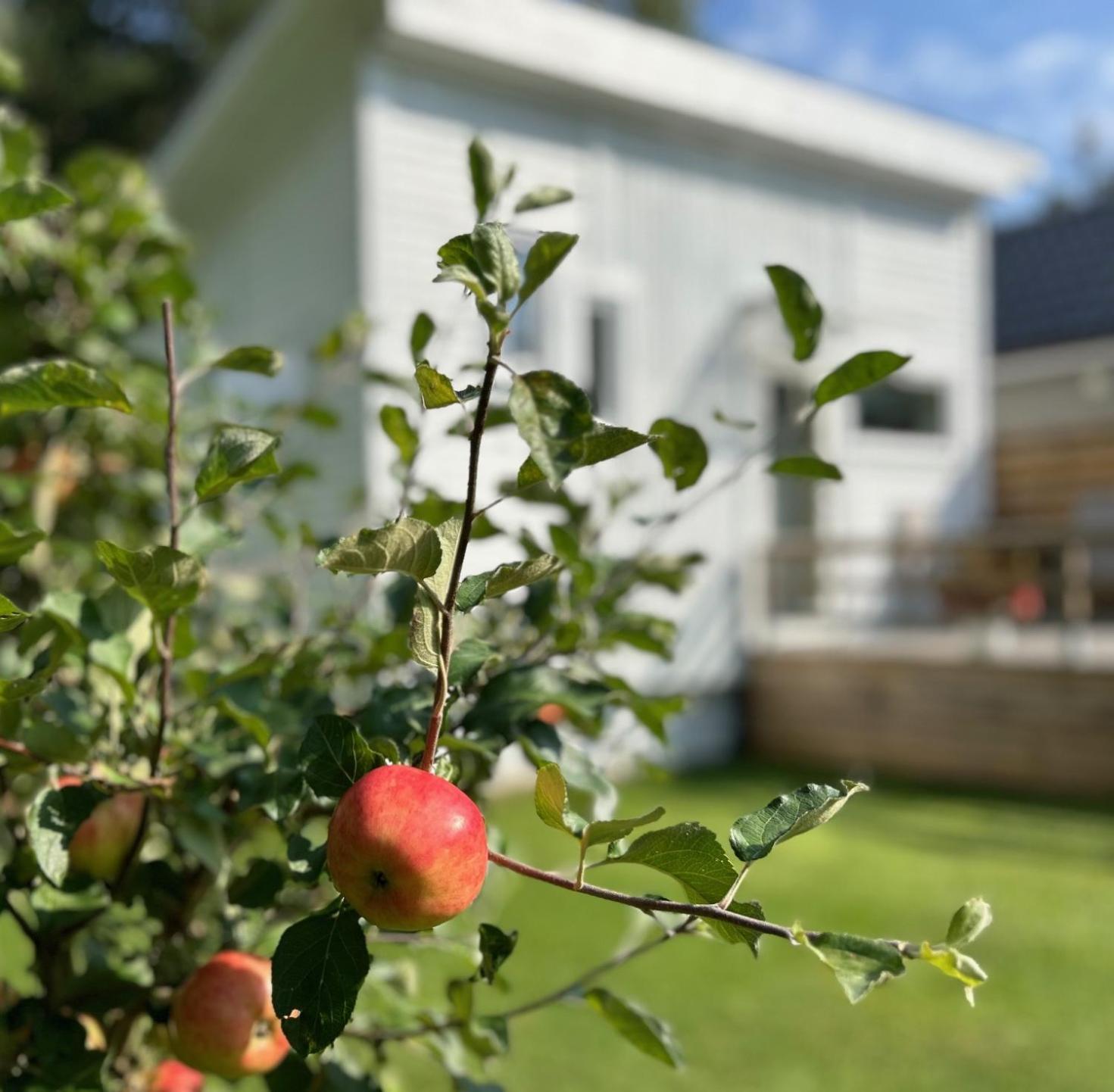Lilla Huset Bed & Breakfast - Countryside Guesthouse, Free Parking Эребру Экстерьер фото